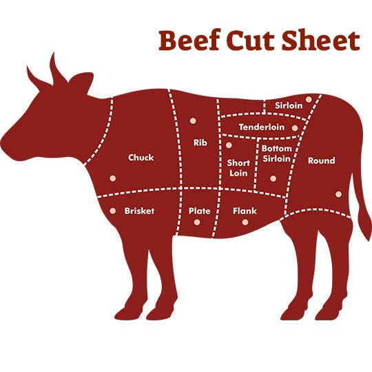 cuts of beef on a cow