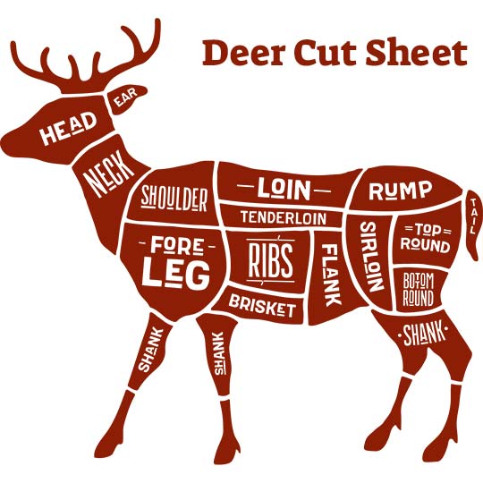 butcher cuts of deer