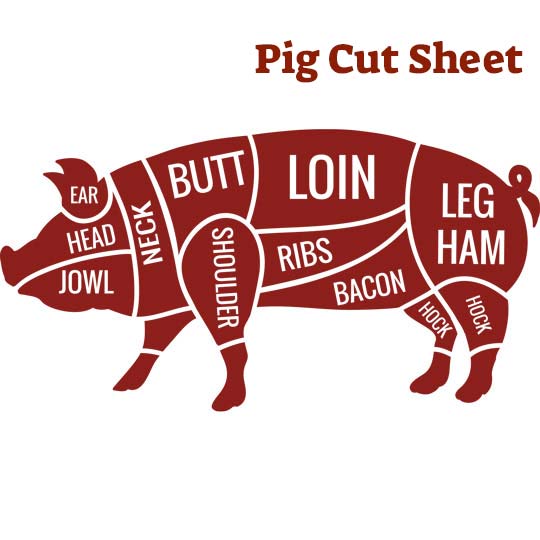 Butcher cuts of a pig